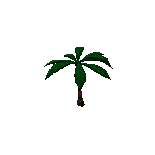 PalmTree