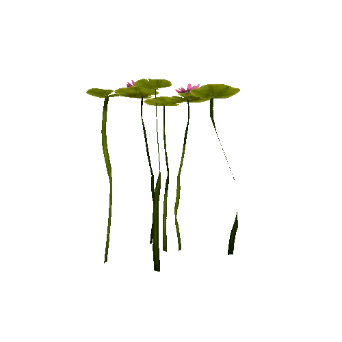 lily_pad_group_6