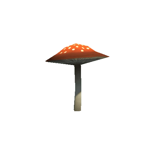 mushroom05_a