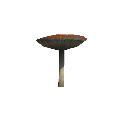 mushroom05_c