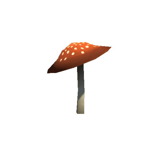 mushroom05_e