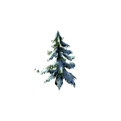 spruce_a1_winter