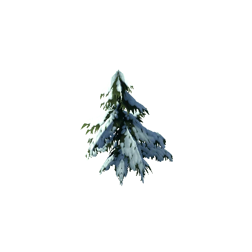 spruce_a3_winter