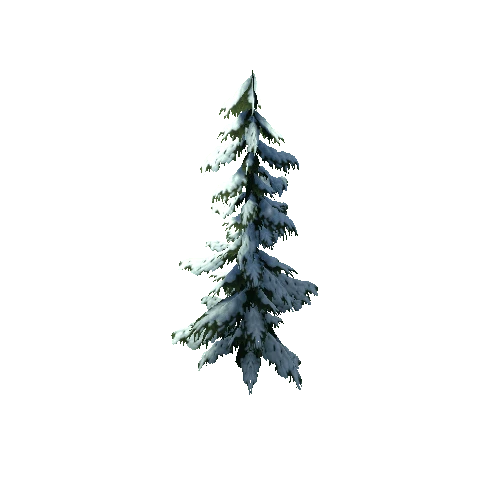 spruce_a4_winter