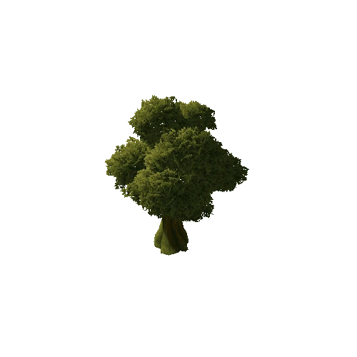 tree_1