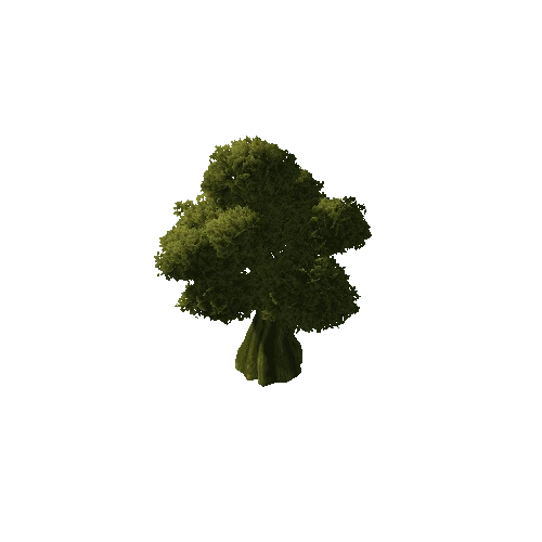 tree_2