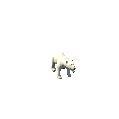 Polar_Bear_SV_IP_HP_FUR