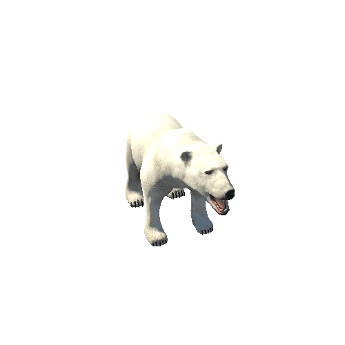 Polar_Bear_SV_RM_HP_FUR