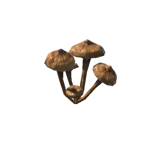 Armillaria2