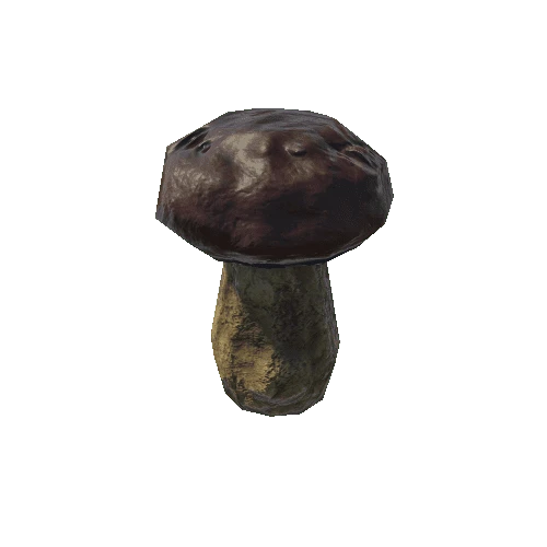 Boletus_edulis_1_