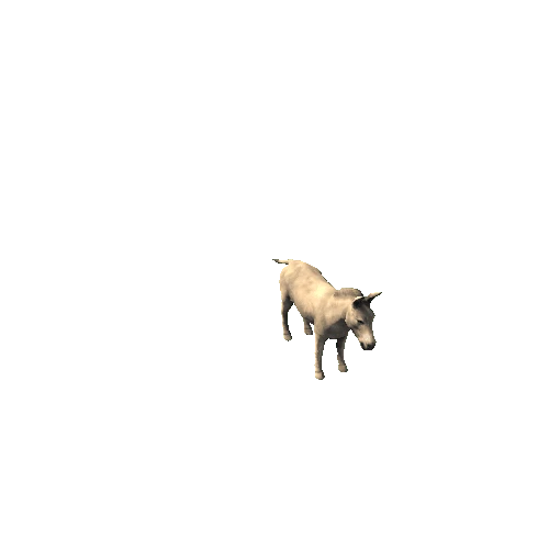 Wild_Ass_Lowpoly