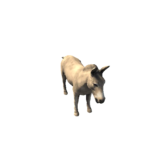 Wild_Ass_Lowpoly_RM