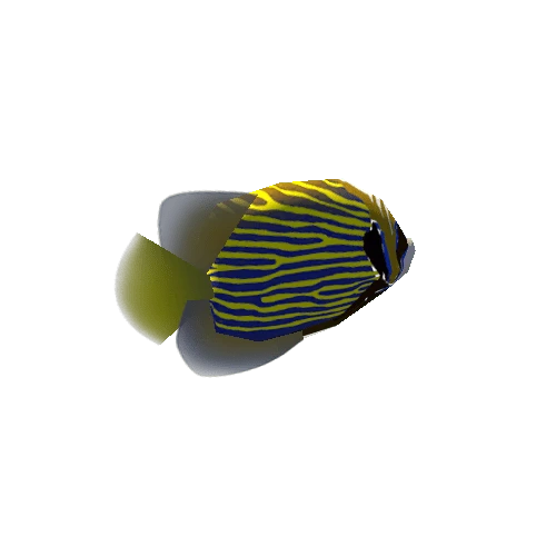 fish_01