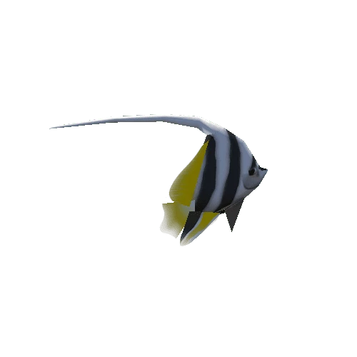 fish_02