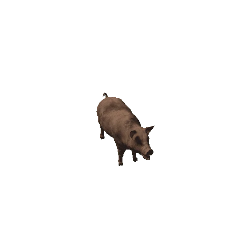 Pig_Highpoly