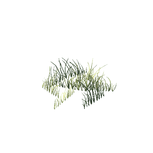 Grass1_3