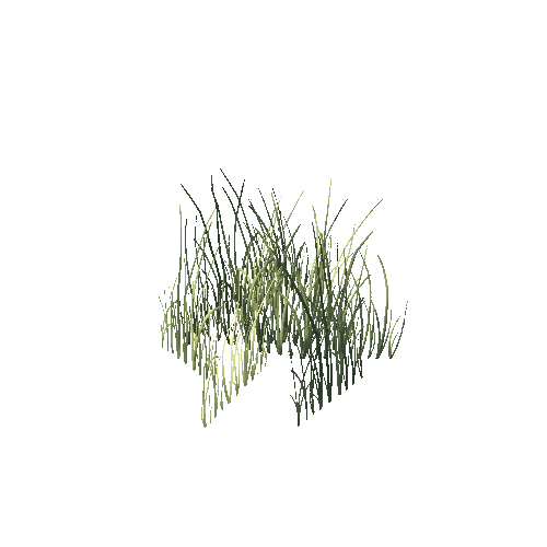 Grass1_5