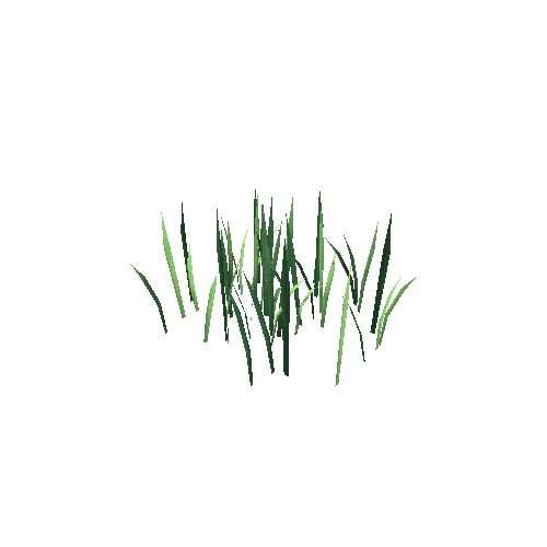 Grass2_2