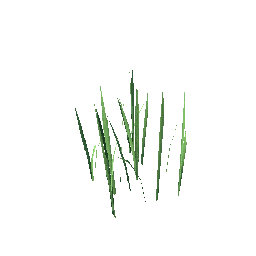 Grass2_3