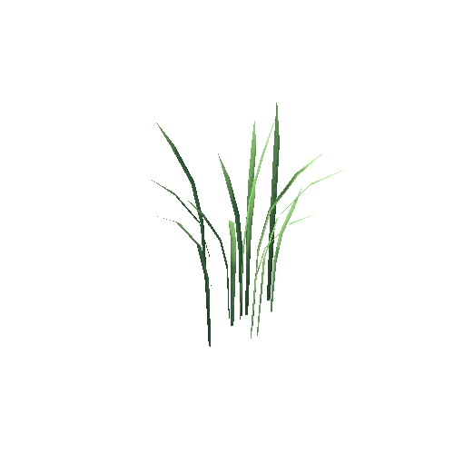 Grass2_4