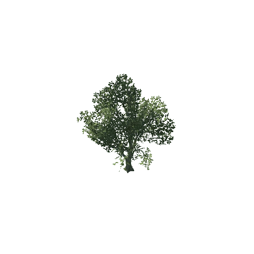 Tree02_2