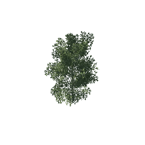 Tree05_2