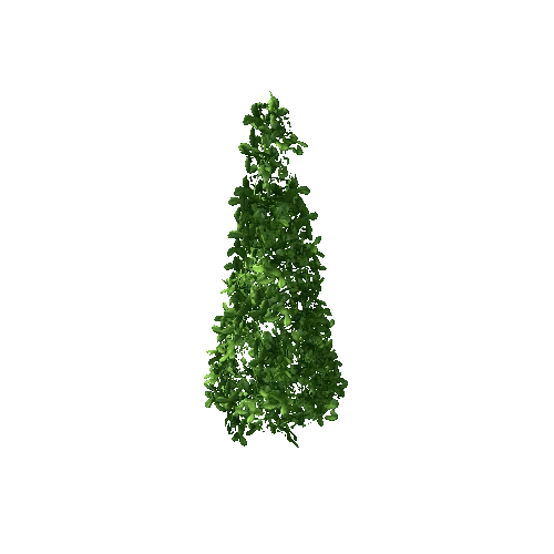 Bush_pyramide_lod0_2sided