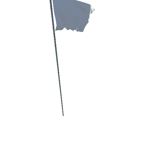 Flag_Blank