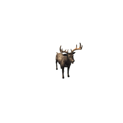 Deer_Stag_IP_MX_LOD_Black