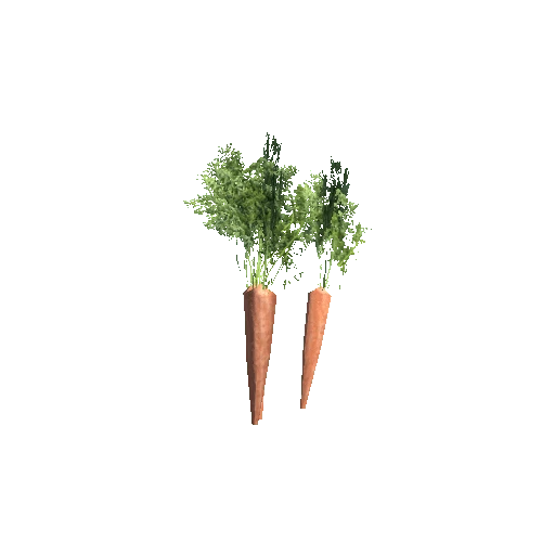 Garden_Carrot_mdl