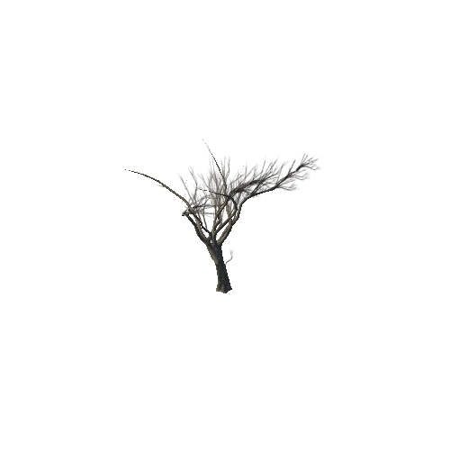 Tree_4