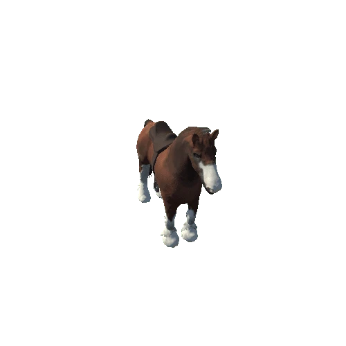 Horse_with_saddle
