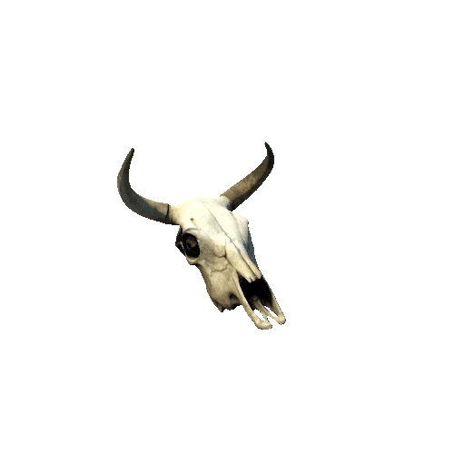 cow_skull_02_prefab