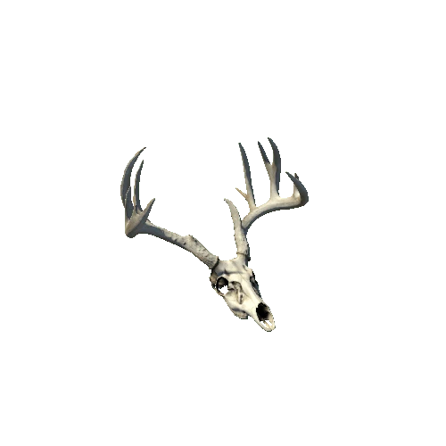 deer_skull_01_prefab