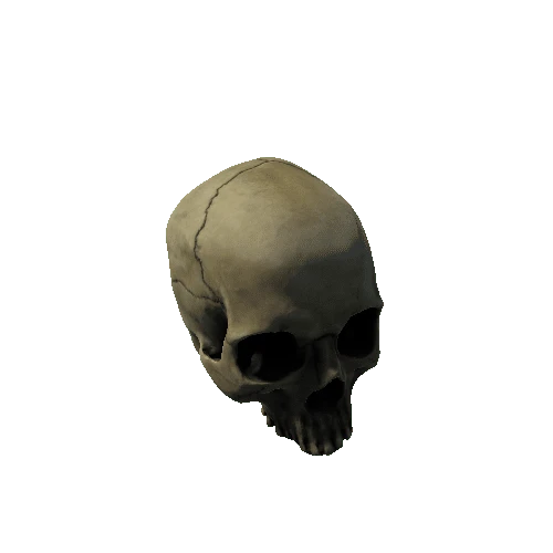 human_skull_01_prefab