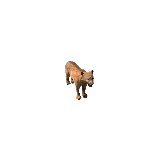 Cougar_SuperLowpoly