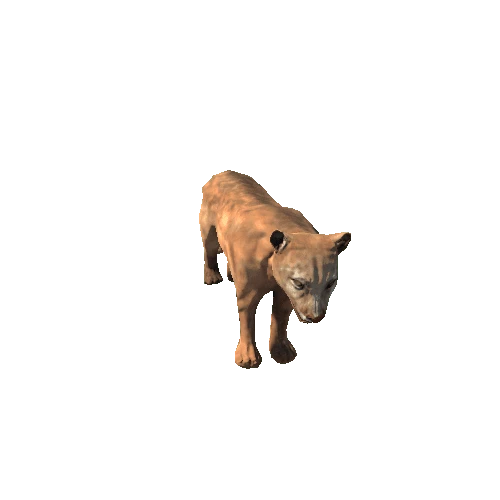 Cougar_SuperLowpoly_RM