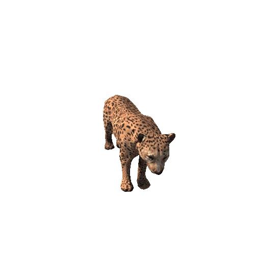 Leopard_Lowpoly_RM