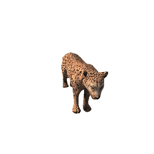 Leopard_SuperLowpoly_RM