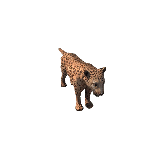 Leopard_RM_FV_SLP