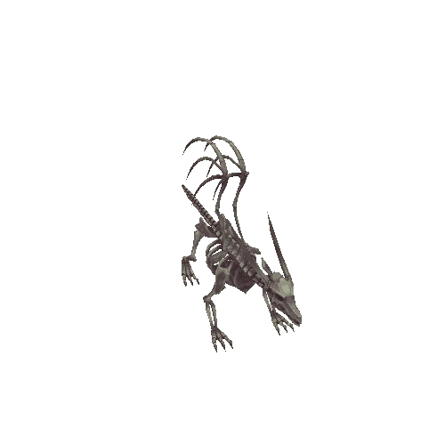 Dragon_Skeleton_B_Blight