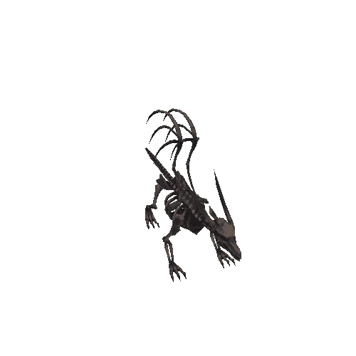 Dragon_Skeleton_B_Charred