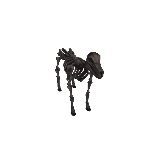 Horse_Skeleton_Charred