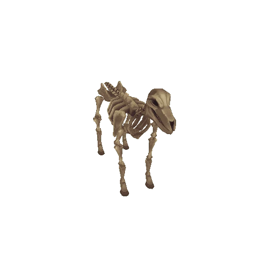 Horse_Skeleton_Pearl