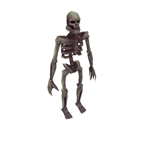 Human_Skeleton_A_Blight