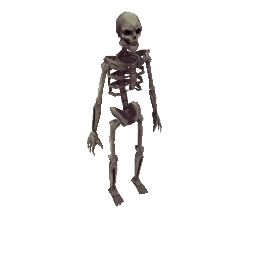 Human_Skeleton_B_Blight