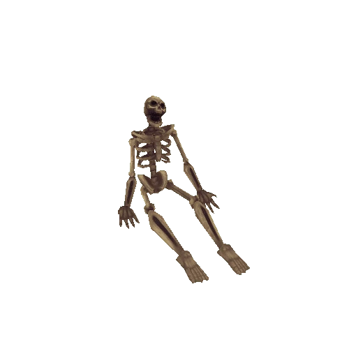 SittingSkeleton_01_Pearl