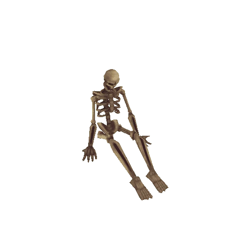 SittingSkeleton_02_Pearl