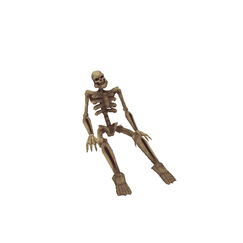 SittingSkeleton_04_Pearl