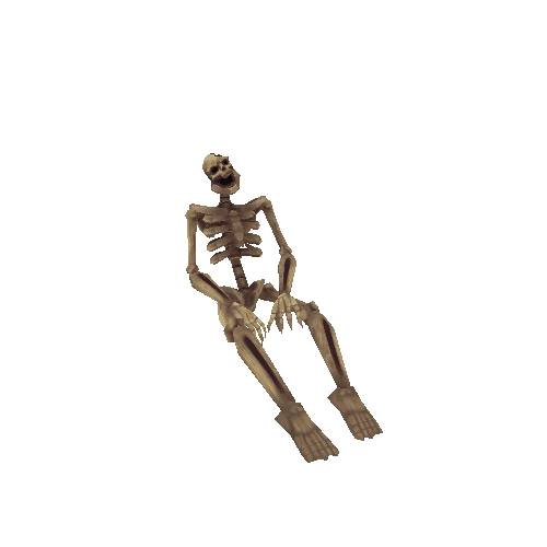 SittingSkeleton_05_Pearl